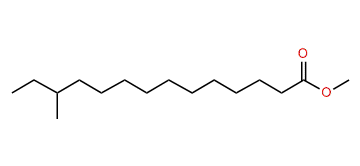 Methyl 12-methyltetradecanoate